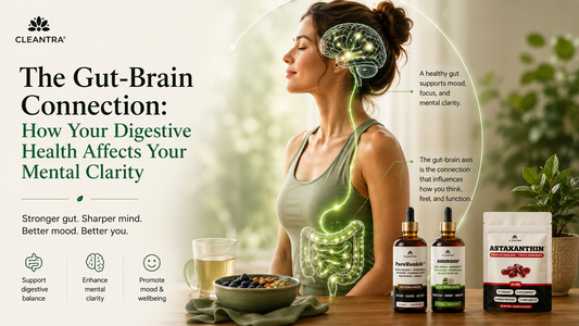 The Gut-Brain Connection: How Your Digestive Health Affects Your Mental Clarity